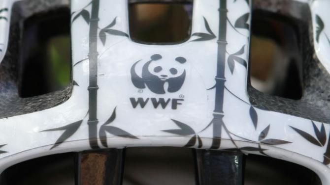 The famous WWF logo can be seen on the top of the helmet