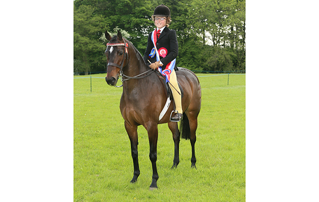 RIHS show pony Champion 339 Fantasia&amp;rsquo;s Ruby Supreme Freddy Wharton