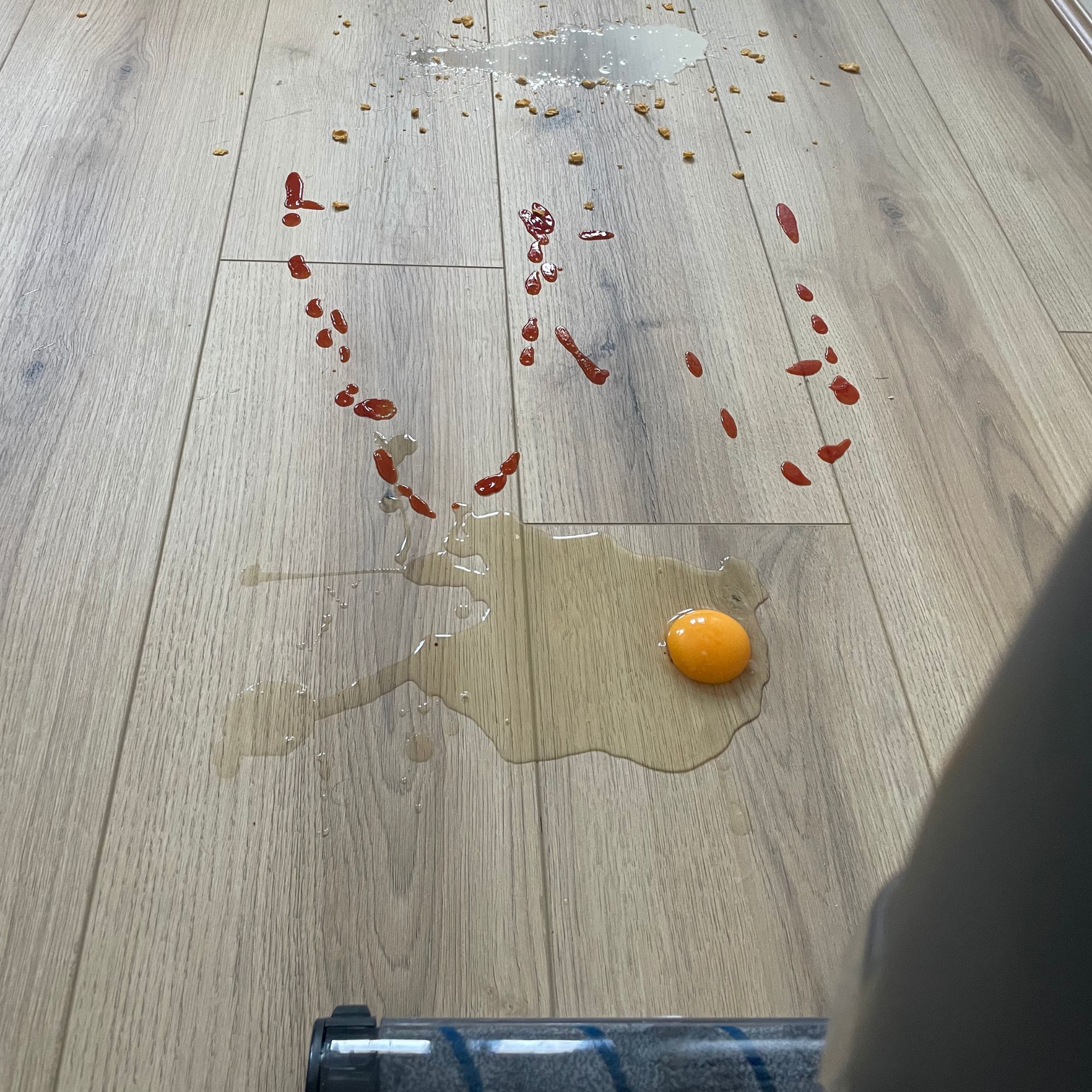 an egg, tomato sauce and crushed cereal and milk on laminate flooring