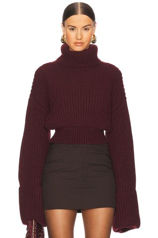 Esti Turtleneck Sweater