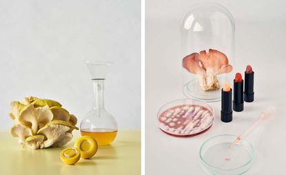 Left - yellow fungi with yellow solution, right - pink fungi with pink make-up