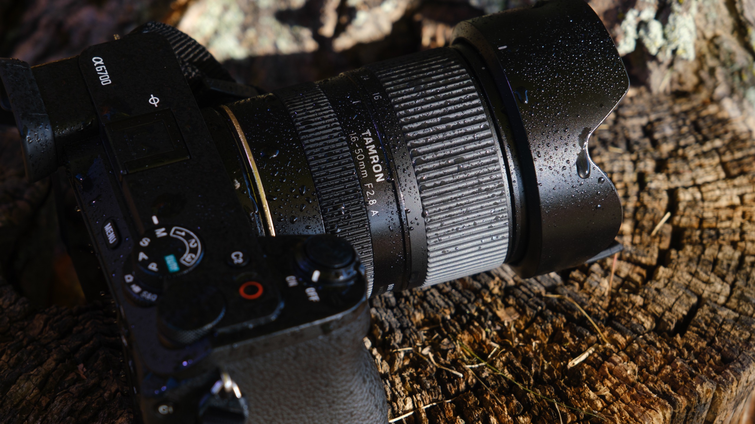 The Tamron 16-50mm f/2.8 A lens photographed outdoors