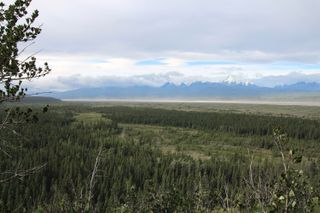 The view from an early Paleo-Indian site in Beringia, Alaska.