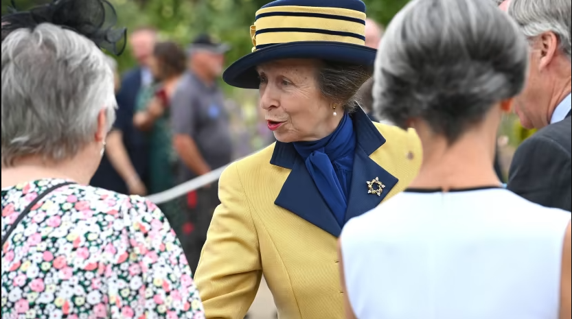 Princess Anne&#039;s star brooch on a trip to Northern Ireland could be loaded with symbolism