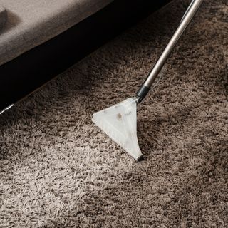 Wet dry vacuum extracting dirt from carpet