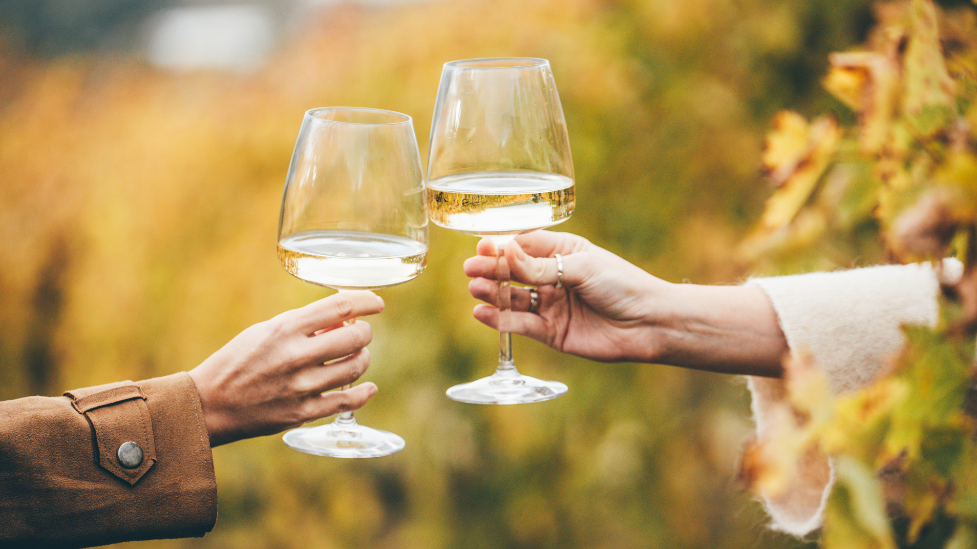 theweek.com - Irenie Forshaw, The Week UK - Best 'broad-shouldered' white wines for autumn