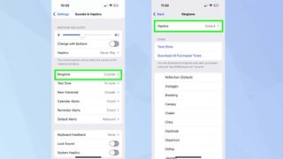 Ringtone and Haptics selected on iPhone 16