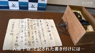 The note detailing the mermaid's origins next to the box it was found in.