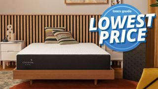 Cocoon by Sealy Chill mattress with lowest price deals graphic overlaid