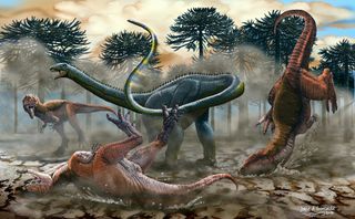 new diplodocus relative dinosaur