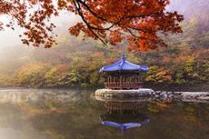 Red ancient pavilion and red maple trees 