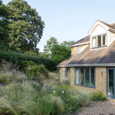 A house surrounded by wild grass