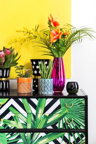 bright and colourful vases