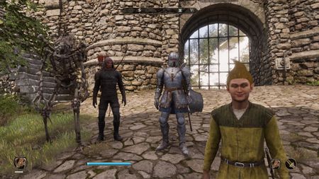 Looking at followers in Oblivion Remastered