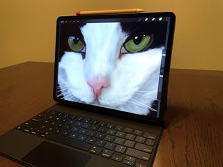 iPad Pro Procreate Cat Drawing Hero