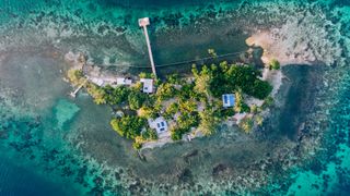 Francis Ford Coppola Belize villas