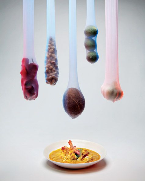 Artist&#039;s palate Ernesto Neto&#039;s vatapa