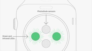 Here’s how the green LED lights look on the back of the Apple Watch. Credit: Apple