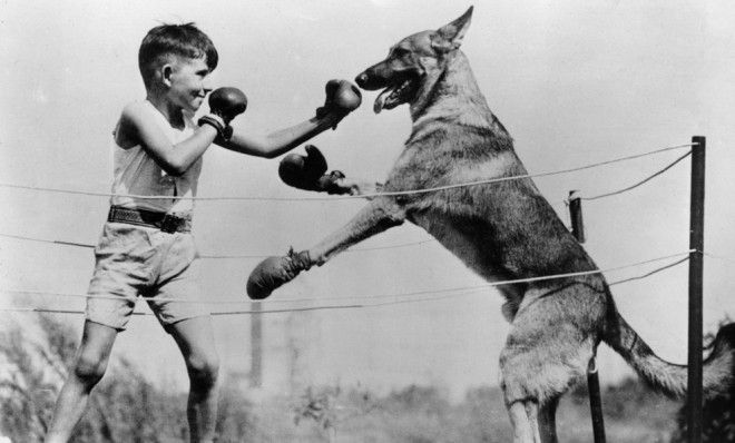 13 vintage photos of man&amp;#039;s best friend