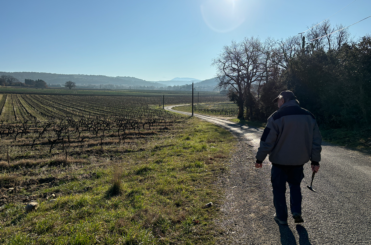 It's a rock thing: Meeting Georges Truc, the Rhône’s wine geologist