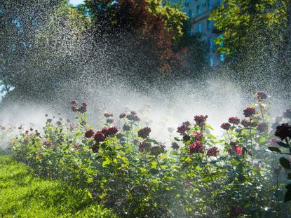 Water System Watering A Flower Garden