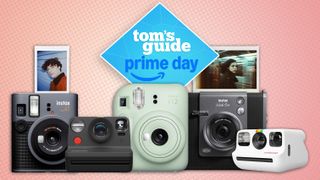 An array of instant cameras