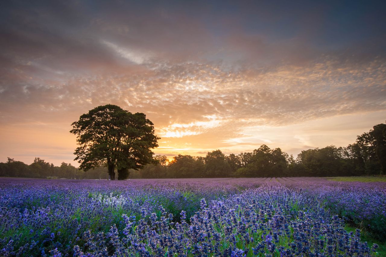 ...but with one, the dynamic range becomes less broad, allowing for a more balanced shot