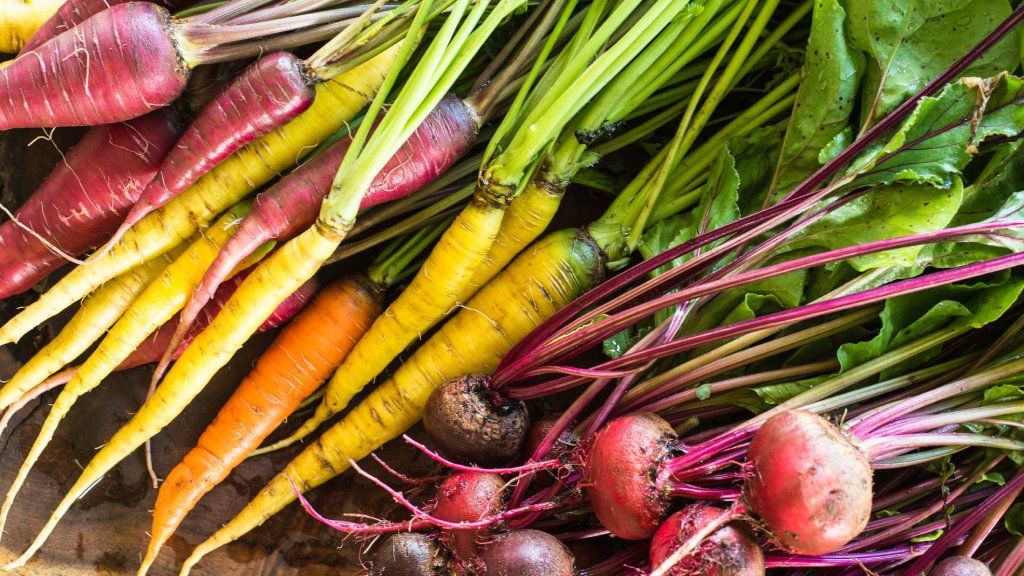 Colorful beets and carrots