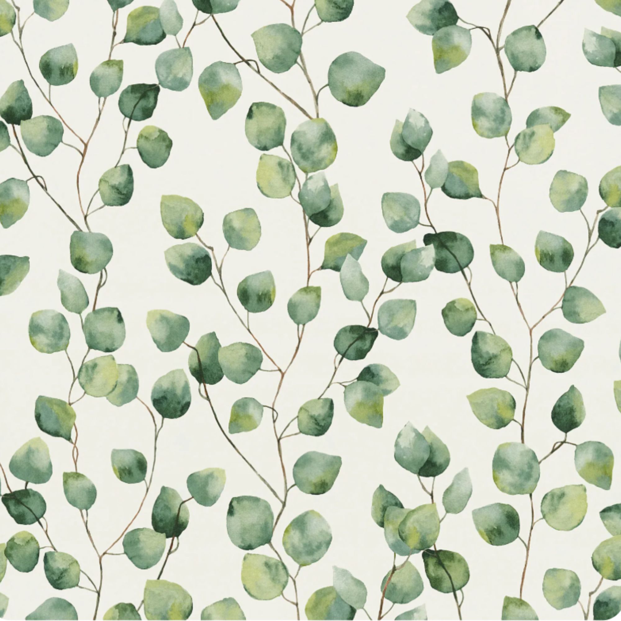 Green trailing vine design wallpaper on white background