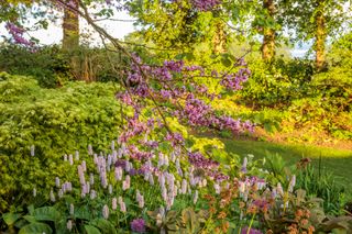 Coton Manor, Northamptonshire