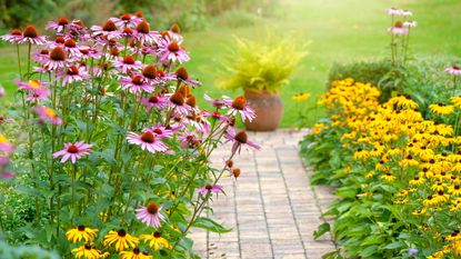 A garden with a gray stone path with purple flowers and yellow flowers either side of it