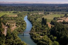 California wine spill