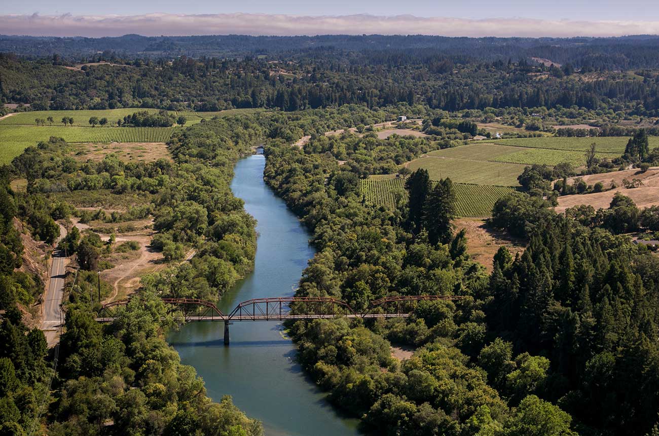 California wine spill