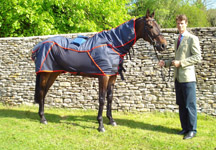 William-Fox-Pitt-Activo-Med.jpg