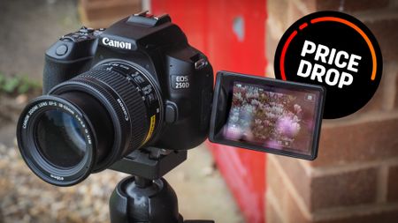 Canon EOS 250D deal