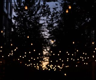 Solar lights in a yard at night