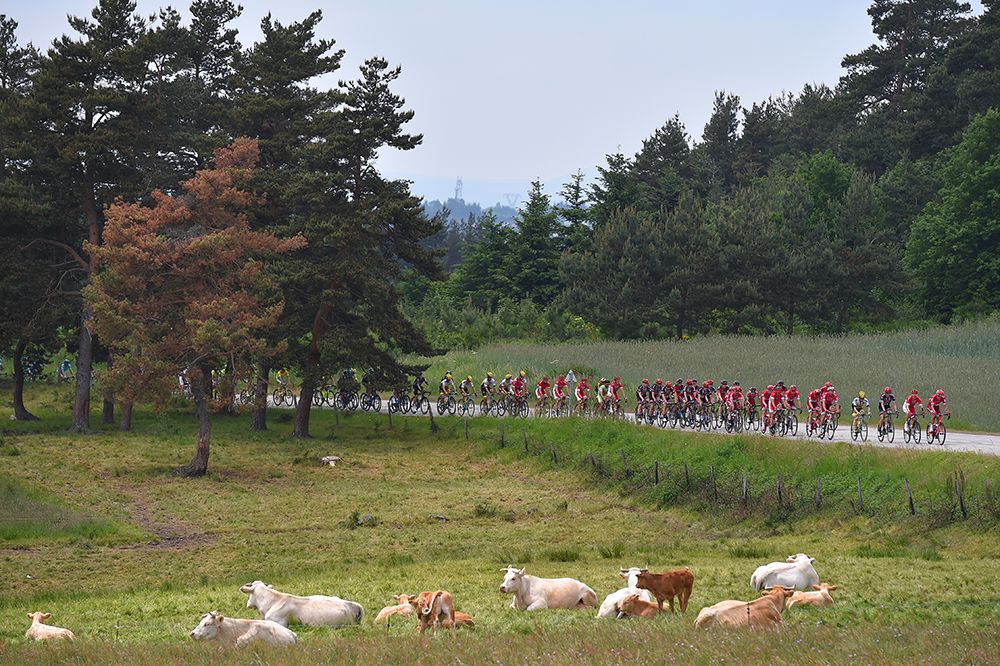 The Dauphine is a key preparation race for the Tour de France.