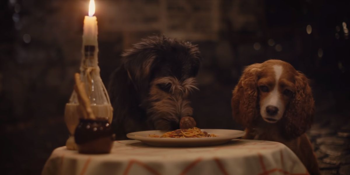 Watch online lady online and the tramp 2019