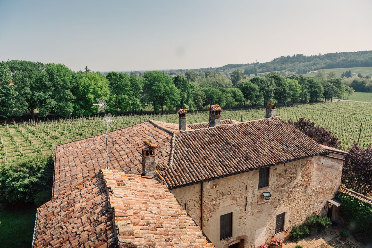 La Pusterla vineyard