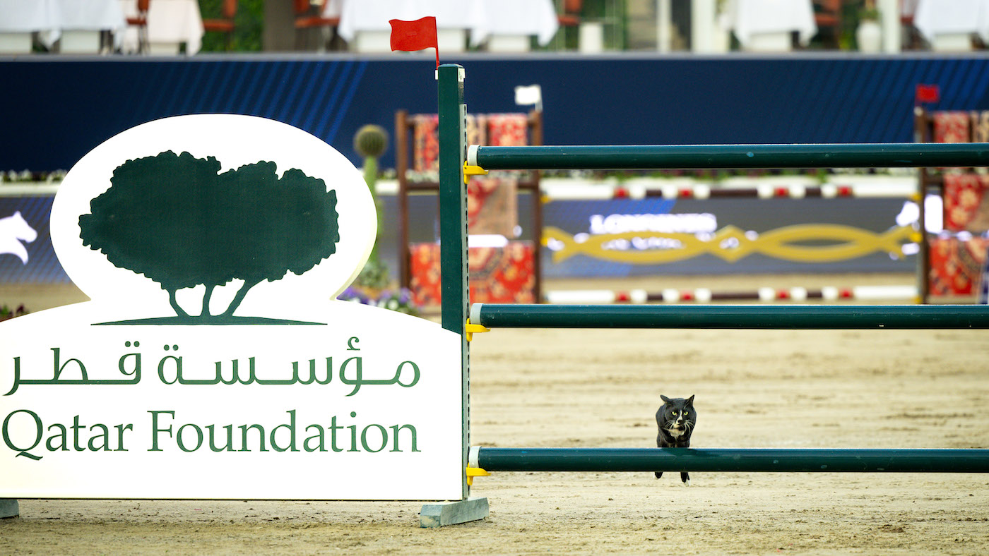 gct_5446.jpg