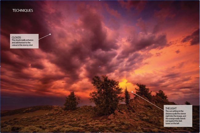 Learn how to unlock stunning natural colors in your photos | Digital ...