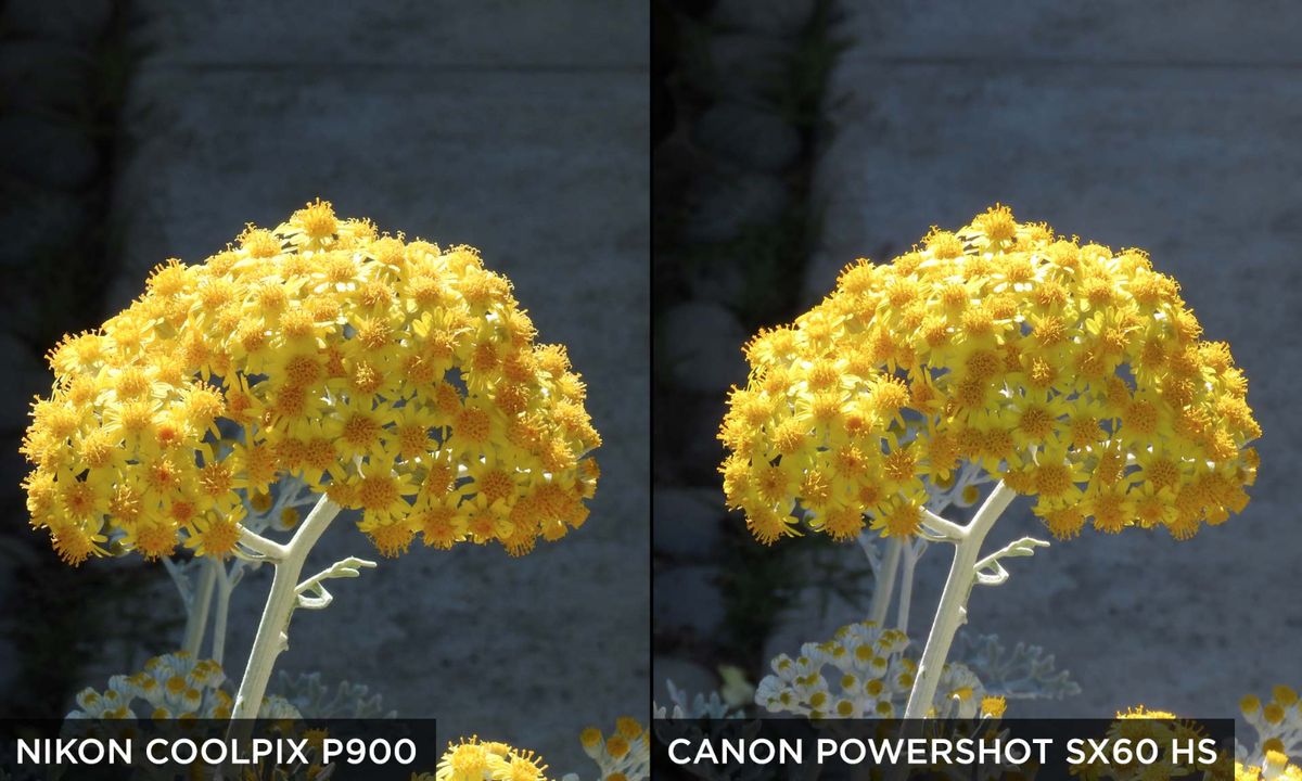 Nikon Coolpix P900 Review Extreme CloseUp! Tom's Guide