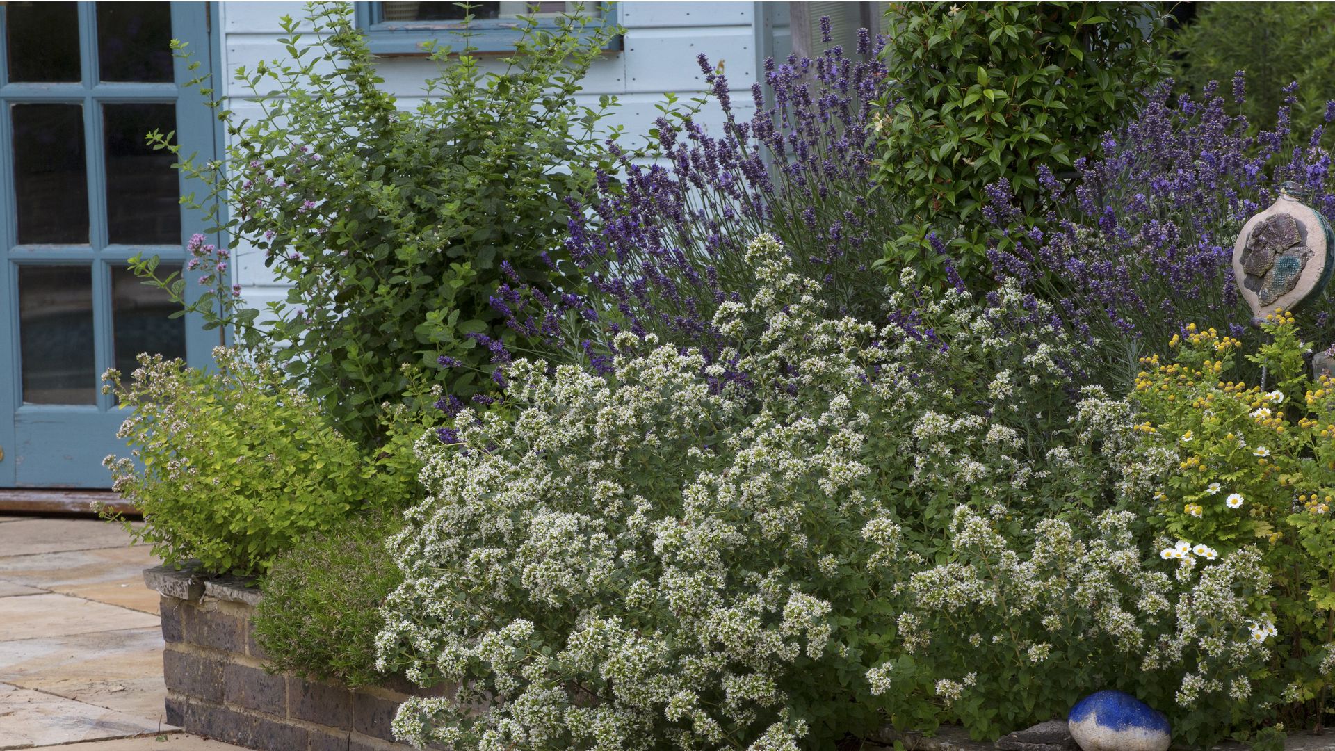 Herb garden: planting ideas and advice on how to grow herbs | Real Homes