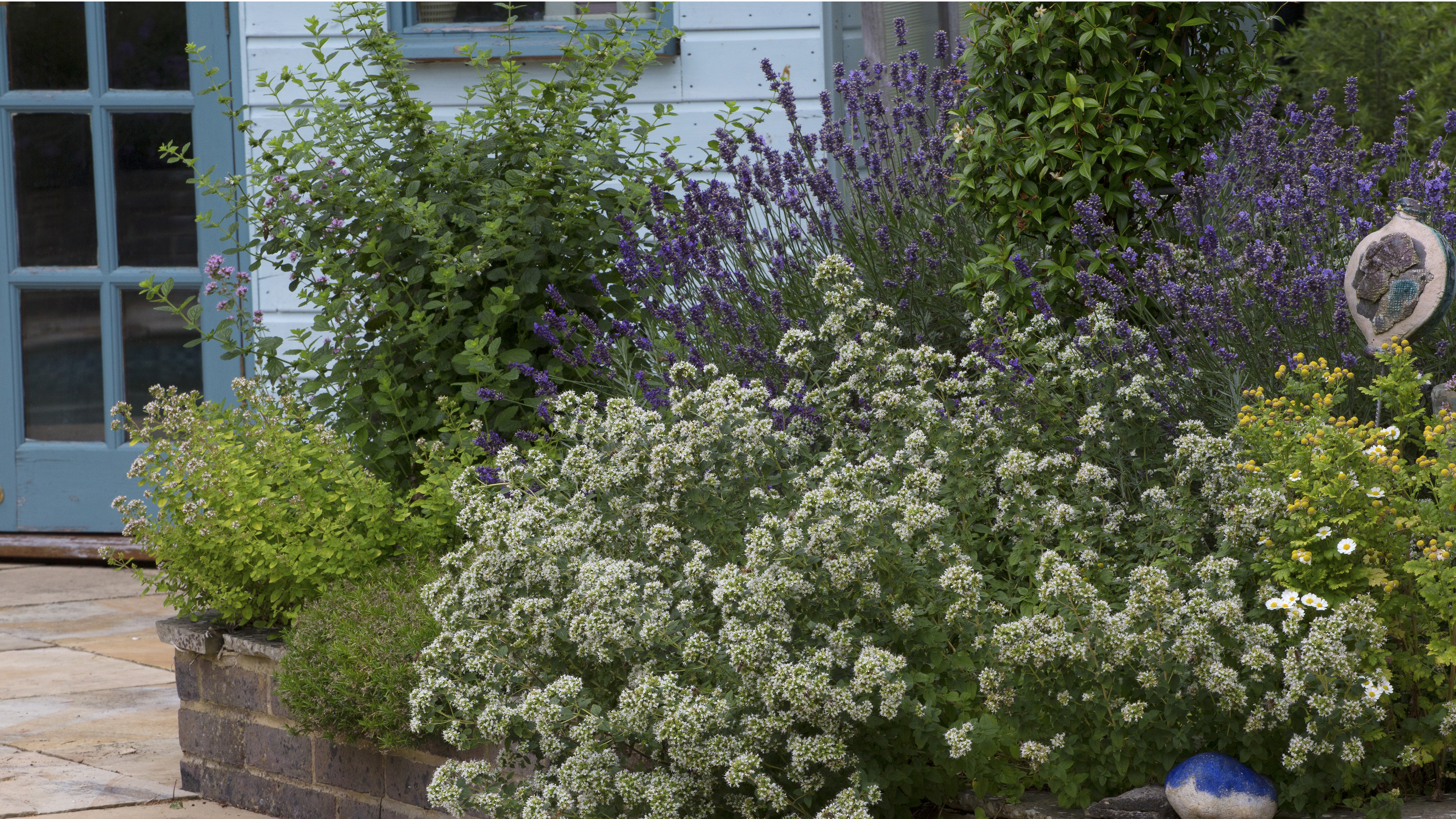 herb garden close to kitchen