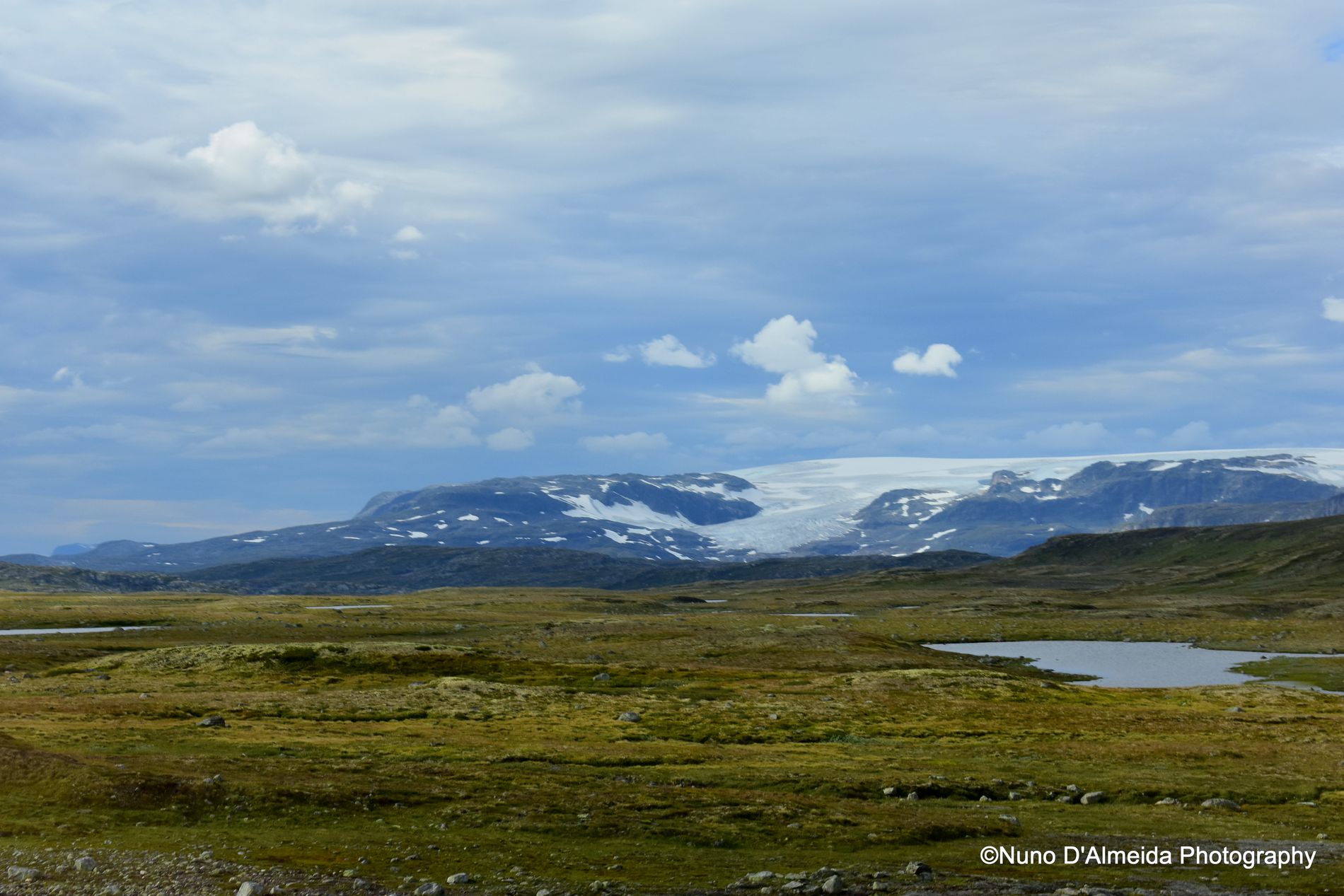 GuruShots - February 2026