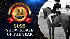 HH.0098_nom-assets_1400x788_40_showhorse.jpg