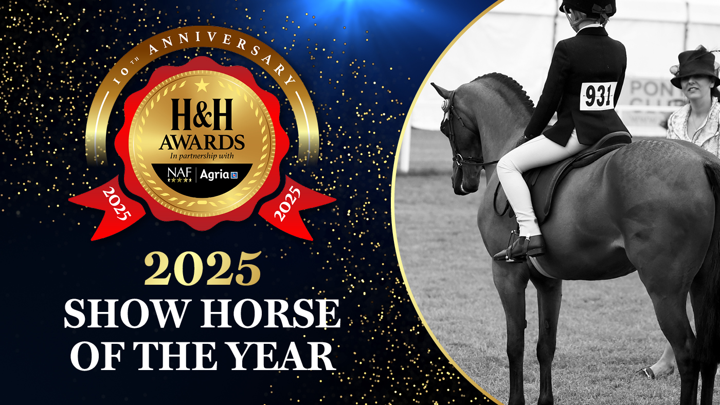 HH.0098_nom-assets_1400x788_40_showhorse.jpg