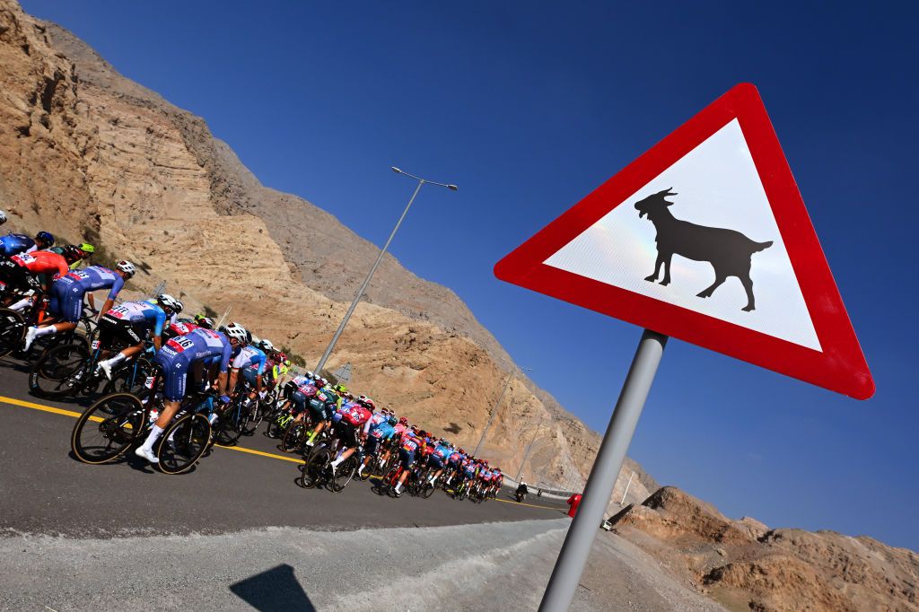 JEBEL JAIS UNITED ARAB EMIRATES FEBRUARY 21 The peloton passes a danger sign for goats during the 6th UAE Tour 2024 Stage 3 a 176km stage from Al Marjan Island Al Jazirah Al Hamra to Jebel Jais 1489m UCIWT on February 21 2024 in Jebel Jais United Arab Emirates Photo by Tim de WaeleGetty Images