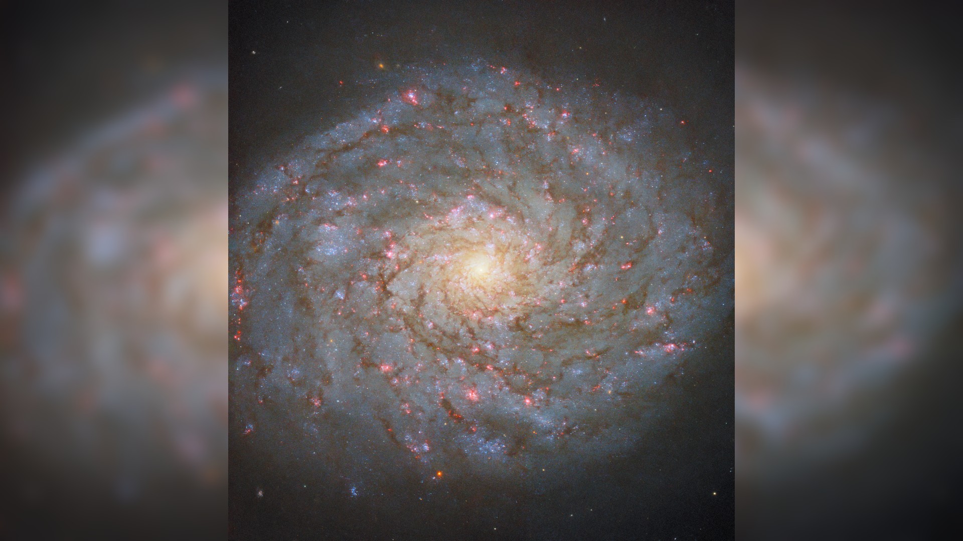 Bejeweled galaxy sparkles in new Hubble photo Space