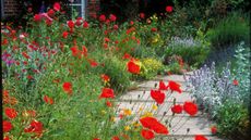 best self-watering gadgets and accessories garden path with flower beds filled with wild flowers and red poppies
